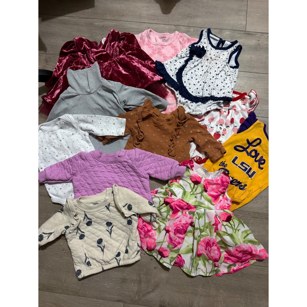 Baby Girl Clothing Bundle 0-3M Carters Childrens Place Hudson Baby LSU 10pc Lot